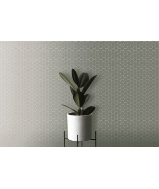 Mosaïque Terratinta Hexa Wild Sage 31,6x31,6