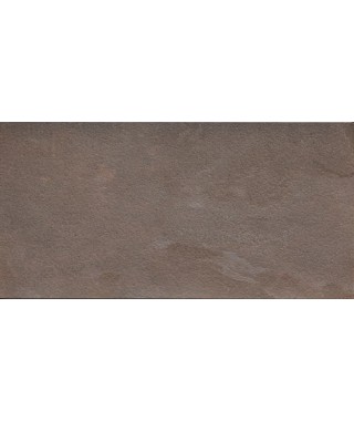 Carrelage Casalgrande Padana Amazzonia eldorado 30x60 rectifié
