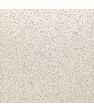 Faïence APE Argillae 60x60 Nisus Neve