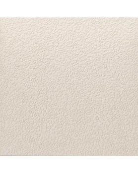 Faïence APE Argillae 60x60 Nisus Neve
