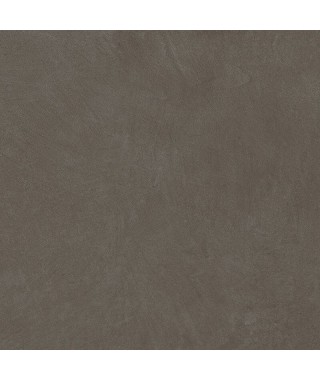 Carrelage extérieur APE Argillae 60x60 Fumo