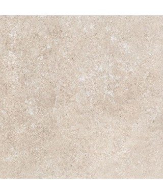 Carrelage Casalgrande Padana Nature 60X60 Sabbia