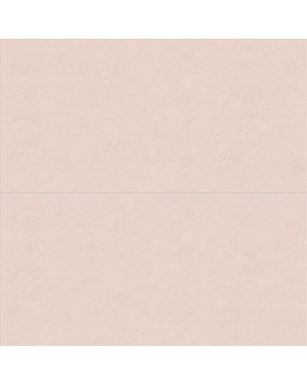 Carrelage ABK Wide&Style Mini 60X120 Powder