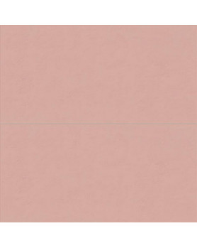 Faïence ABK Wide&Style Mini 60X120 Phard