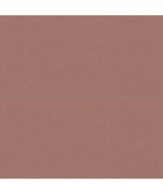 Faïence ABK Wide&Style Mini 60X120 Paprika