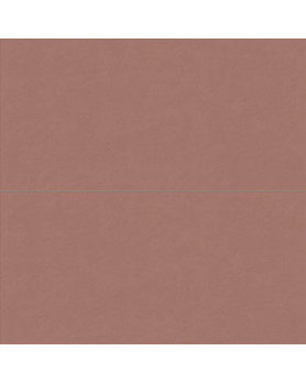 Faïence ABK Wide&Style Mini 60X120 Paprika