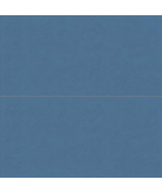 Faïence ABK Wide&Style Mini 60X120 Whale