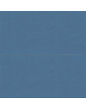 Faïence ABK Wide&Style Mini 60X120 Whale