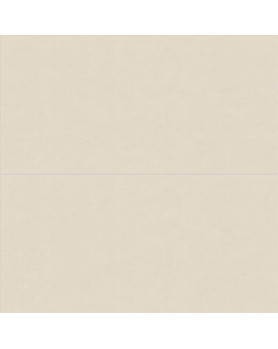 Faïence ABK Wide&Style Mini 60X120 Alabaster
