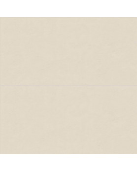 Faïence ABK Wide&Style Mini 60X120 Alabaster