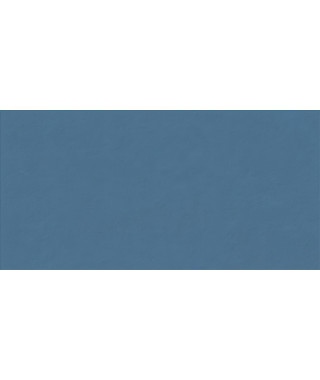 Faïence ABK Wide&Style Mini 60X120 Whale