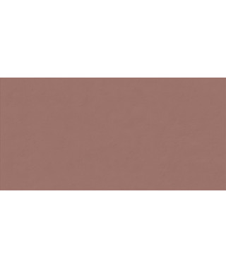 Faïence ABK Wide&Style Mini 60X120 Paprika