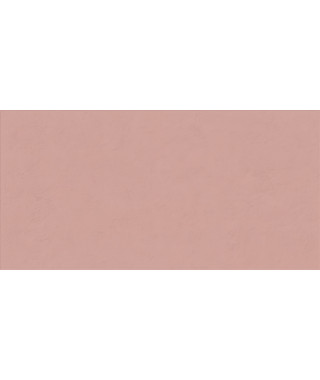 Faïence ABK Wide&Style Mini 60X120 Phard