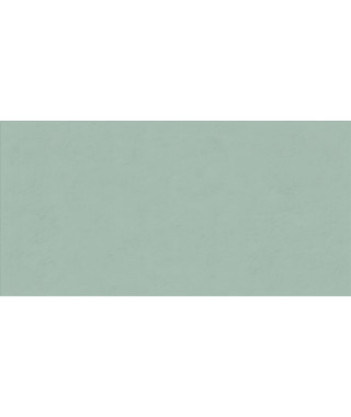 Faïence ABK Wide&Style Mini 60X120 Mint