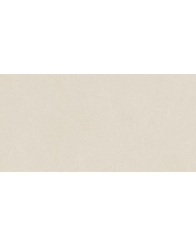 Carrelage extérieur APE Argillae 30x60 Neve