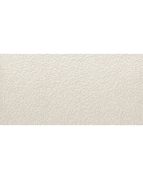 Faïence APE Argillae 60x120 Nisus Neve