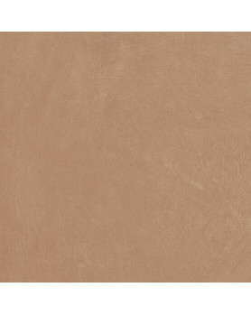 Carrelage extérieur APE Argillae 60x60 Gobi