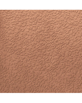 Faïence APE Argillae 60x60 Nisus Coral