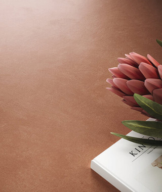 Carrelage APE Argillae 60x120 Coral