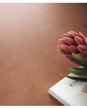 Carrelage APE Argillae 60x120 Coral