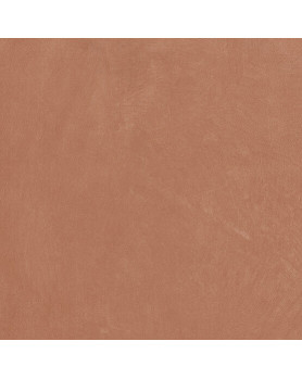 Carrelage APE Argillae 60x60 Coral