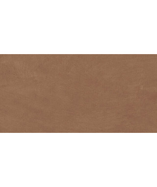 Carrelage extérieur APE Argillae 30x60 Terra