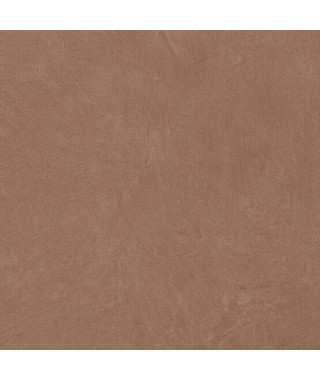 Carrelage APE Argillae 60x60 Terra