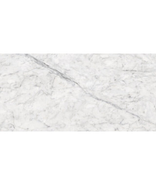 Carrelage APE Vita blanc 60x120 rectifié