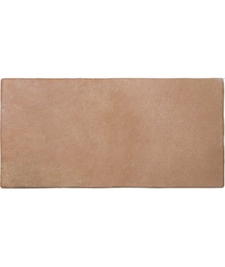 Carrelage Effet Terre Cuite Wow Roots 11x22