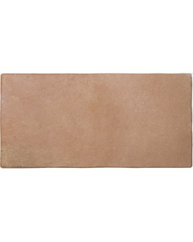 Carrelage Effet Terre Cuite Wow Roots 11x22