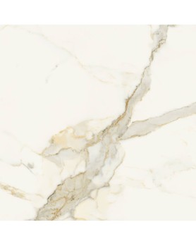 Carrelage Effet Marbre Marca Corona Scultorea 80x80