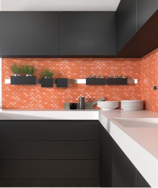 Mosaïque écailles corail en...